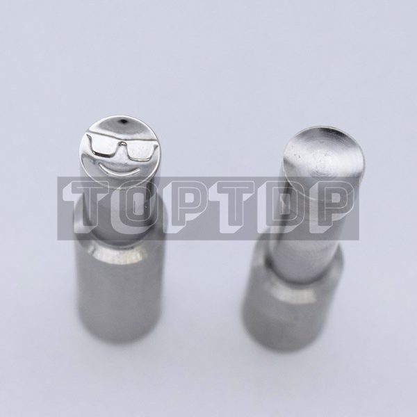 TDP molds face with glass molds TDP-5 - Image 4